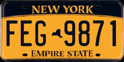 NY license plate FEG9871