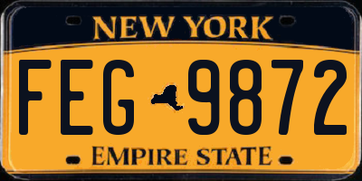 NY license plate FEG9872