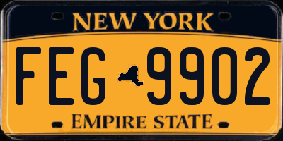 NY license plate FEG9902