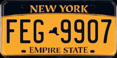 NY license plate FEG9907