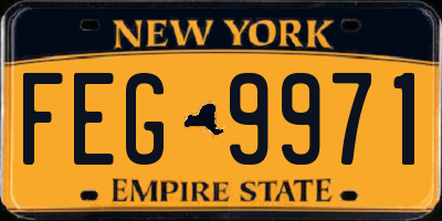 NY license plate FEG9971