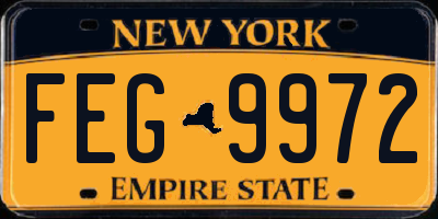 NY license plate FEG9972