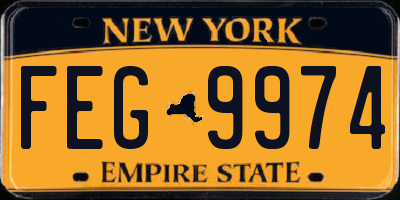 NY license plate FEG9974