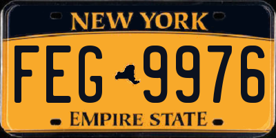 NY license plate FEG9976