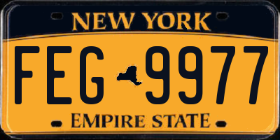 NY license plate FEG9977