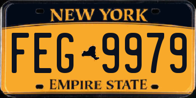 NY license plate FEG9979