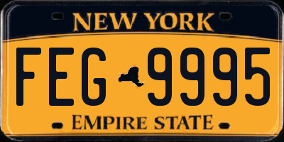 NY license plate FEG9995
