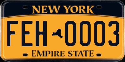 NY license plate FEH0003