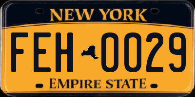 NY license plate FEH0029