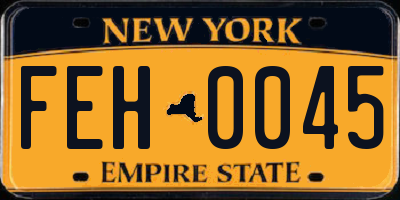 NY license plate FEH0045