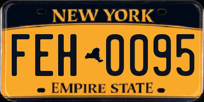 NY license plate FEH0095
