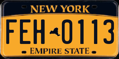NY license plate FEH0113