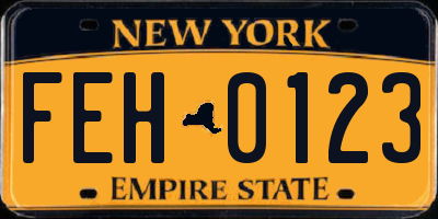 NY license plate FEH0123
