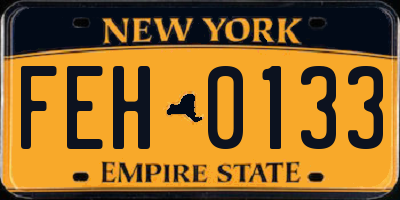 NY license plate FEH0133
