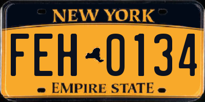 NY license plate FEH0134