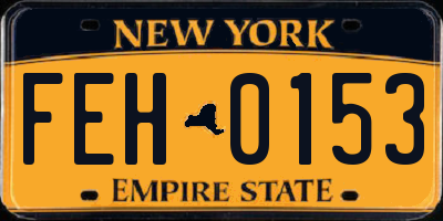 NY license plate FEH0153