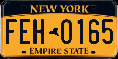 NY license plate FEH0165