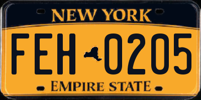 NY license plate FEH0205