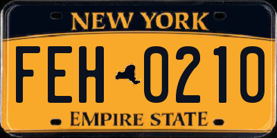 NY license plate FEH0210