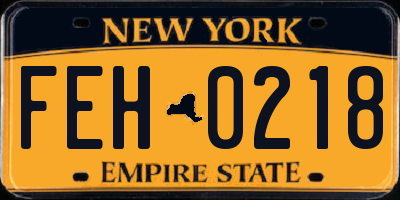 NY license plate FEH0218