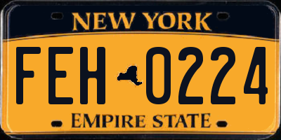 NY license plate FEH0224