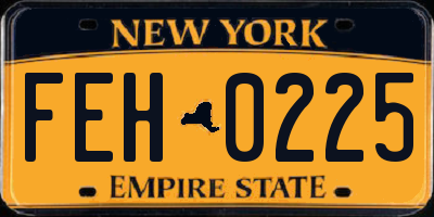 NY license plate FEH0225
