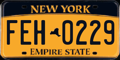 NY license plate FEH0229