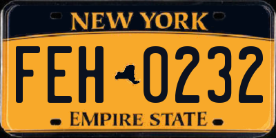 NY license plate FEH0232
