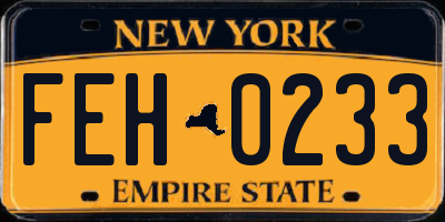 NY license plate FEH0233