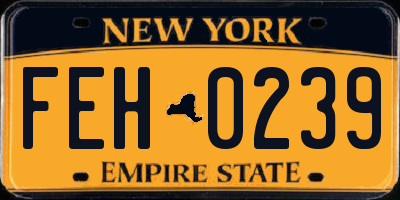 NY license plate FEH0239