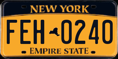 NY license plate FEH0240