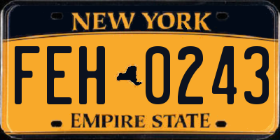 NY license plate FEH0243