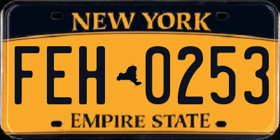 NY license plate FEH0253