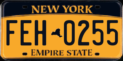 NY license plate FEH0255