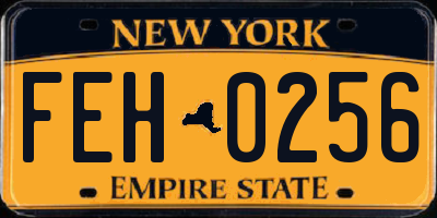 NY license plate FEH0256