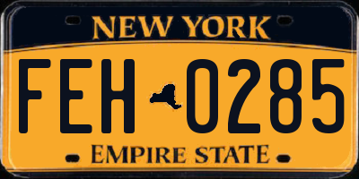 NY license plate FEH0285