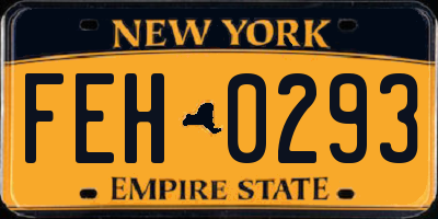 NY license plate FEH0293