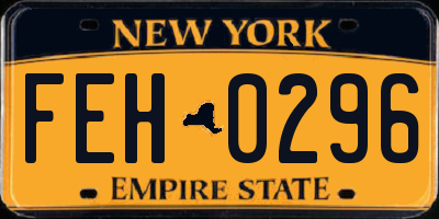 NY license plate FEH0296