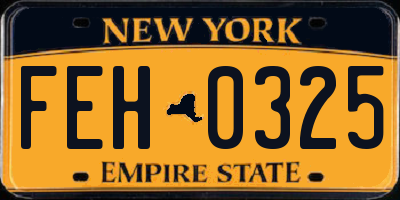 NY license plate FEH0325