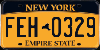NY license plate FEH0329
