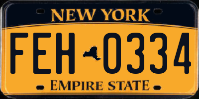 NY license plate FEH0334