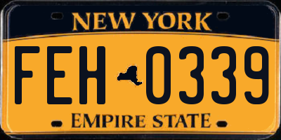 NY license plate FEH0339