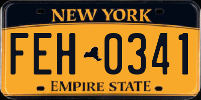 NY license plate FEH0341