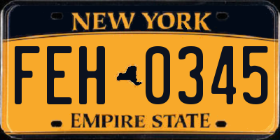 NY license plate FEH0345