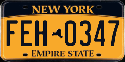 NY license plate FEH0347