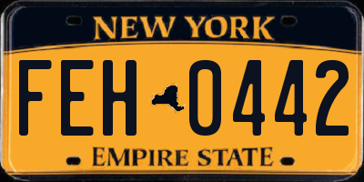 NY license plate FEH0442