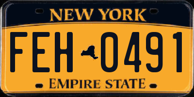 NY license plate FEH0491