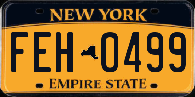 NY license plate FEH0499