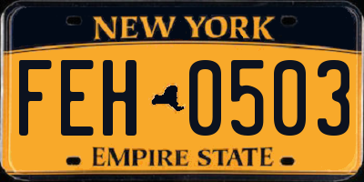 NY license plate FEH0503