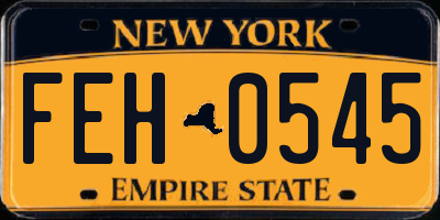 NY license plate FEH0545